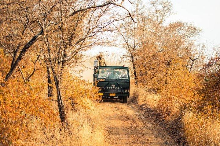 Ranthambore Day Trip from Jaipur with Tiger Safari
