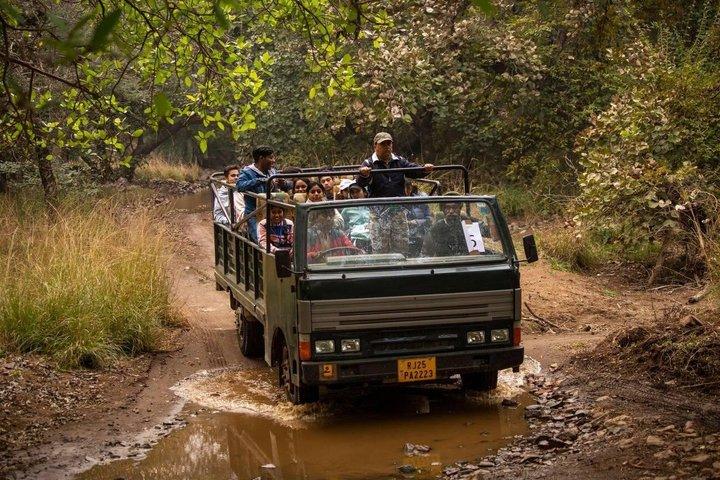 Ranthambore Day Trip from Jaipur with Tiger Safari