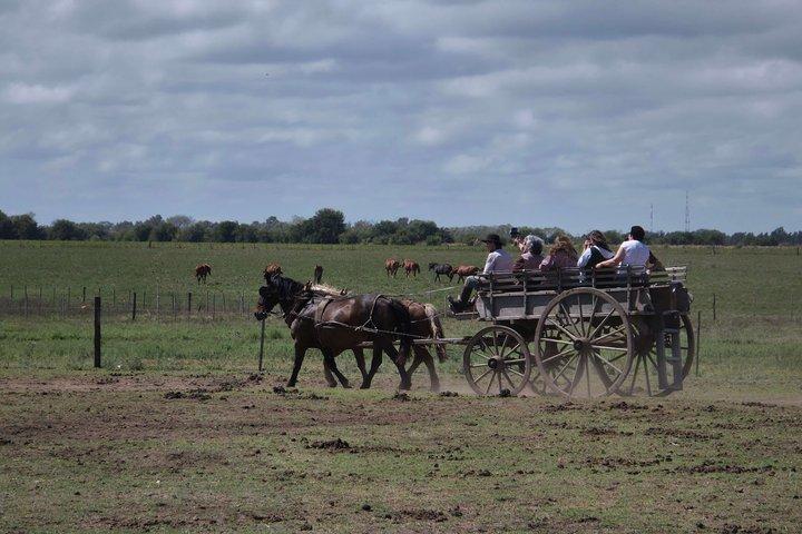 Gaucho Tour in Estancia Santa Susana from Buenos Aires
