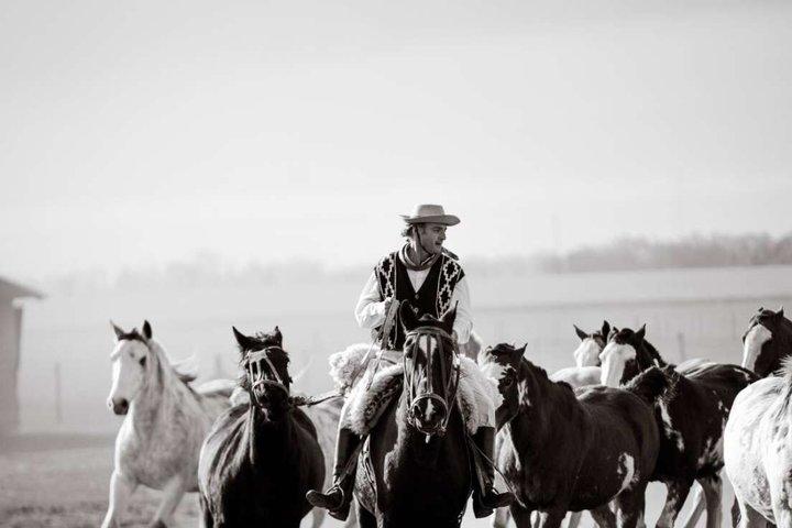 Gaucho Tour in Estancia Santa Susana from Buenos Aires