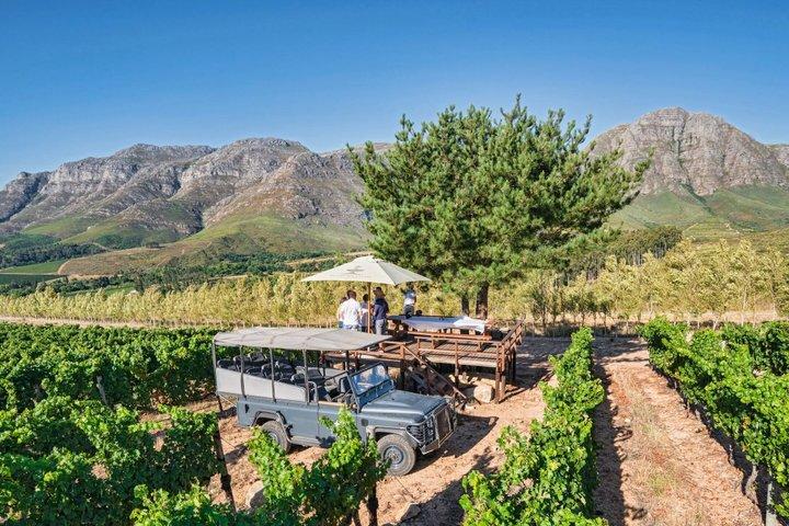 Full-Day VIP Stellenbosch Wine Tour with Waterford Delaire Graff