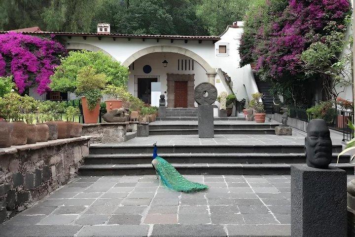 The Life of Frida Kahlo Exclusive Tour at the Dolores Olmedo Museum