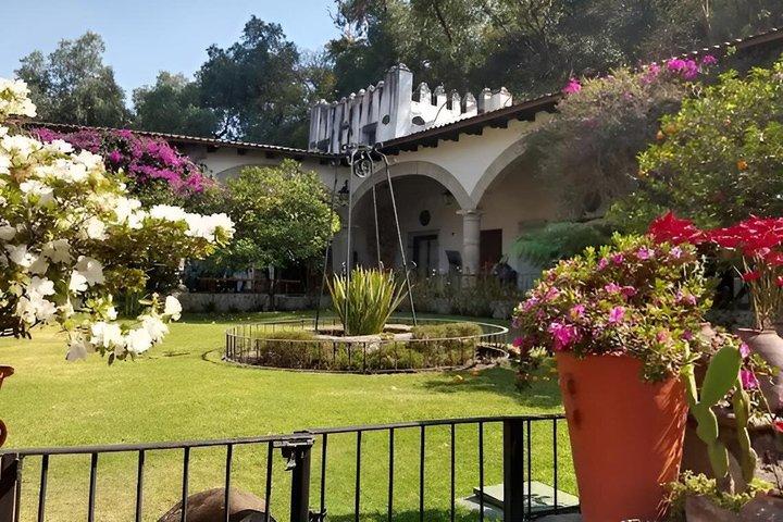 The Life of Frida Kahlo Exclusive Tour at the Dolores Olmedo Museum