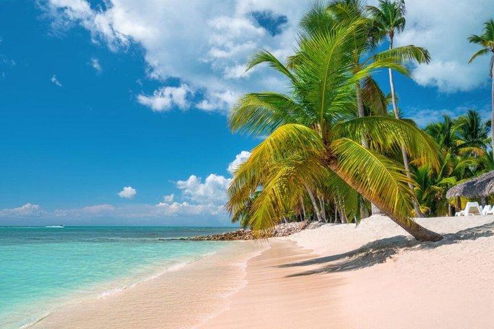 Punta Cana/Bavaro/Roman island Catalina the most unspoilt in the Caribbean