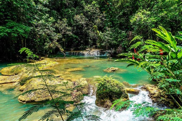 South Coast Jamaica, YS Falls, Pelican Bar, Black River, Appleton