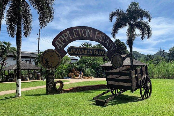 South Coast: YS Falls, Appleton, Black River, Pelican Bar Jamaica
