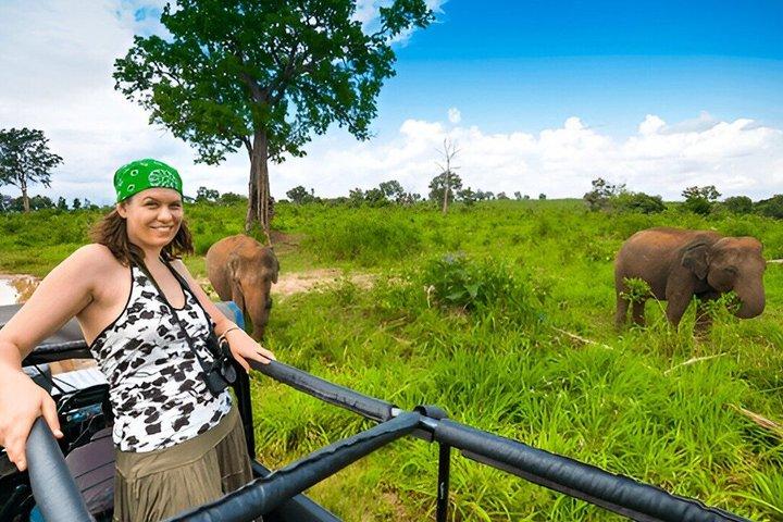 Private Tour from Hiriketiya to Ella with Udawalawe Safari
