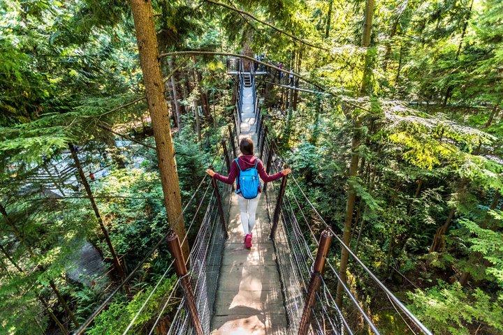 Ultimate Vancouver City Tour: Landmarks, Views and Capilano