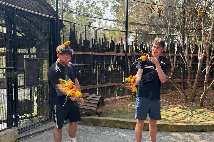 Dalat Morning Trip: Alpine Coaster, Rainbow Sliding & Luge Kart