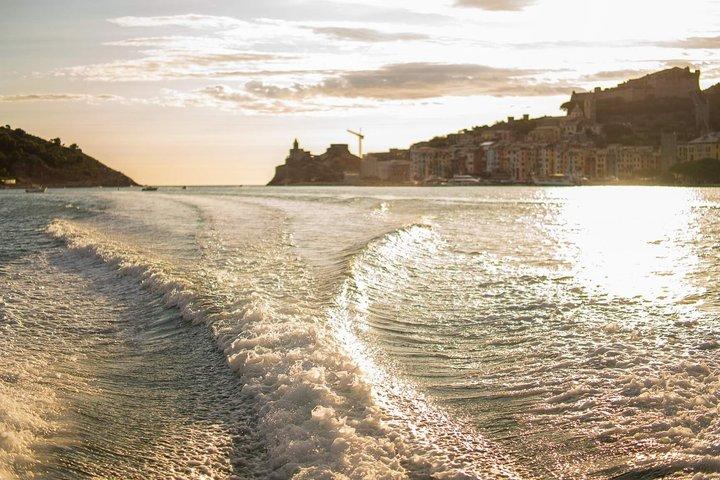 Private Boat Tour Gulf of Poets - Half day