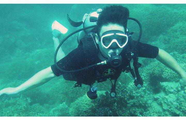 Nha Trang Scuba Diving Tour Marine Park