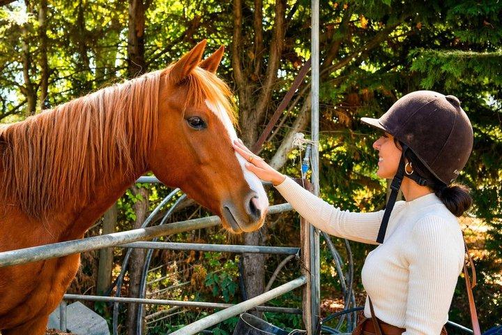 Tuscan Chianti Hills Horseback Riding Tour