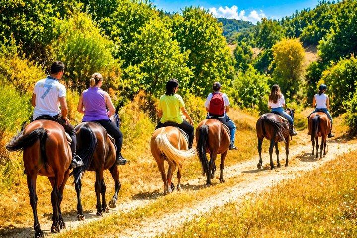 Chianti Horseback Riding Tour at San Gimignano
