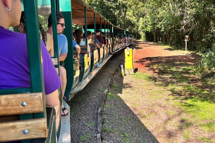 1 Day Iguaçu Falls Tour across Brazil and Argentina