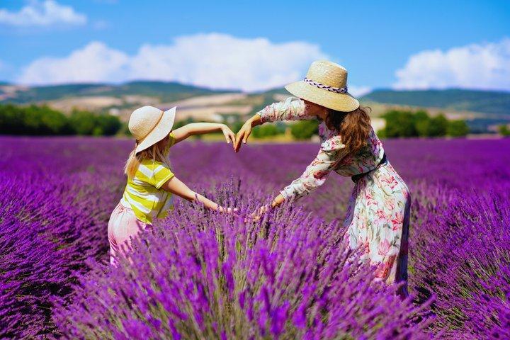 Brihuega Lavender Fields Tour from Madrid