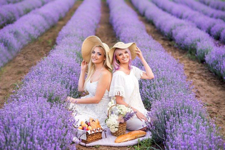 Brihuega Lavender Fields Tour from Madrid