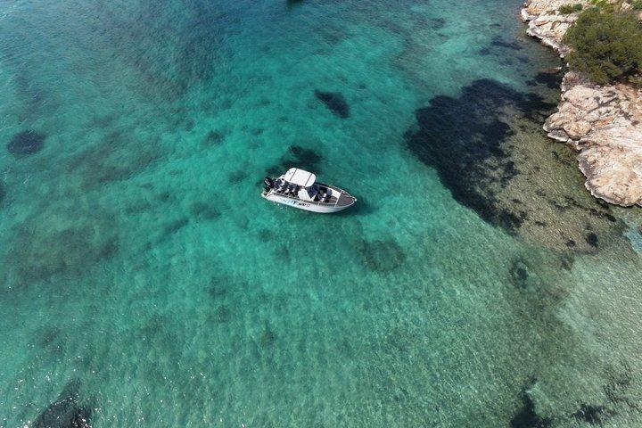 Charter Tour of Palma Bay: Snorkeling and Paddle Surfing
