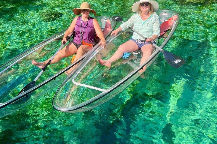 Crystal River: Three Sisters Manatee Clear Kayak Tour Free Photos