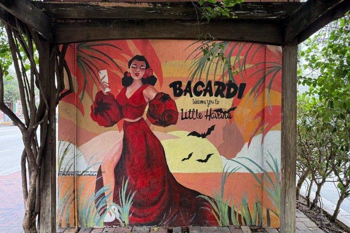 Half-Day Miami City Tour with Little Havana and Boat Small Group