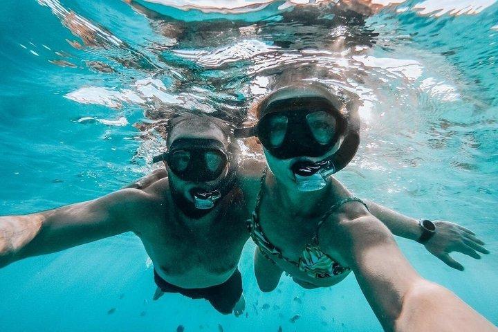 Private Speed Boat to Tiran Island