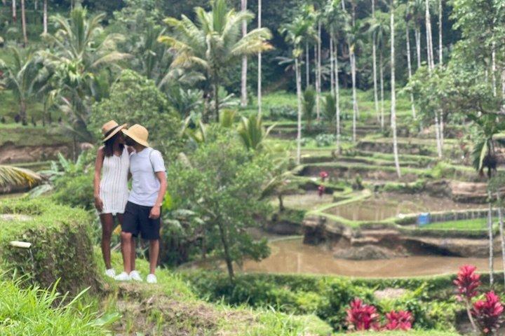 Ubud Private Tour - All Inclusive Premium Experience