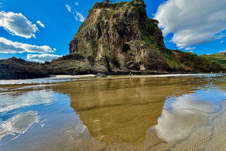Private Auckland Tour Mt Eden, Waterfall, Black Sand Beaches etc