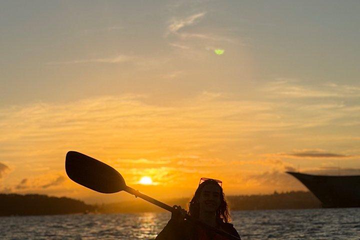Sunrise Kayak Tour to the Opera House Bridge Views Sydney