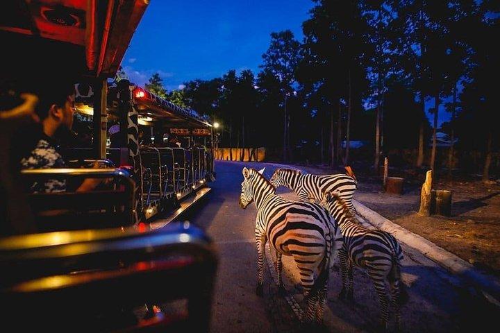 Singapore Night Safari with Tram Ride and Hotel Transfers