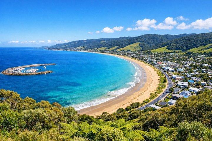 Great Ocean Road Boutique Eco Tour small Group-melbrne hotel pick