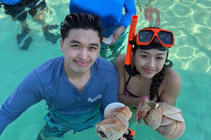 Swim with Dolphins And Snorkeling Group Tour