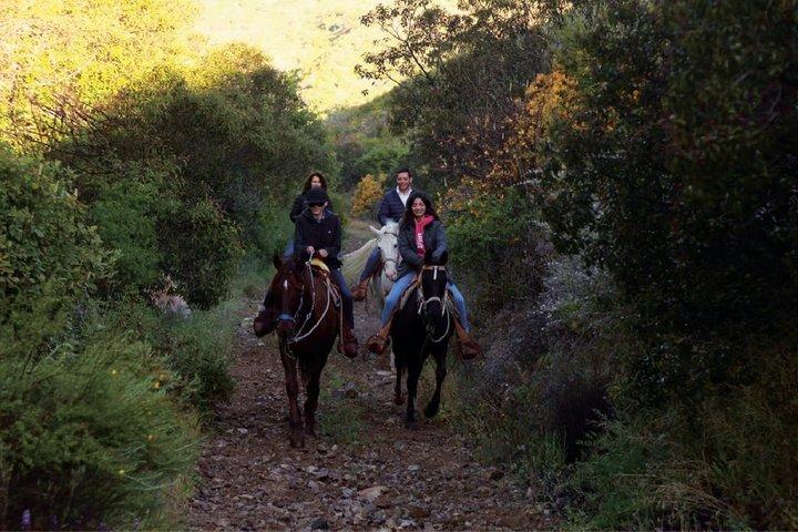 Mountain Horseback Echo Canyon+ Taco Stop Shore Excursion Private