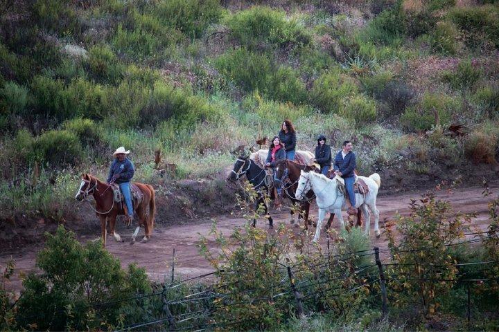 Mountain Horseback Echo Canyon+ Taco Stop Shore Excursion Private