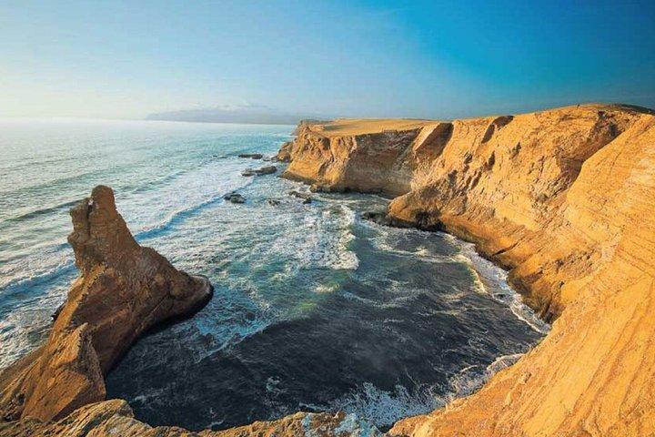 Paracas Full Tour Ballestas Islands Paracas Reserve and Huacachina