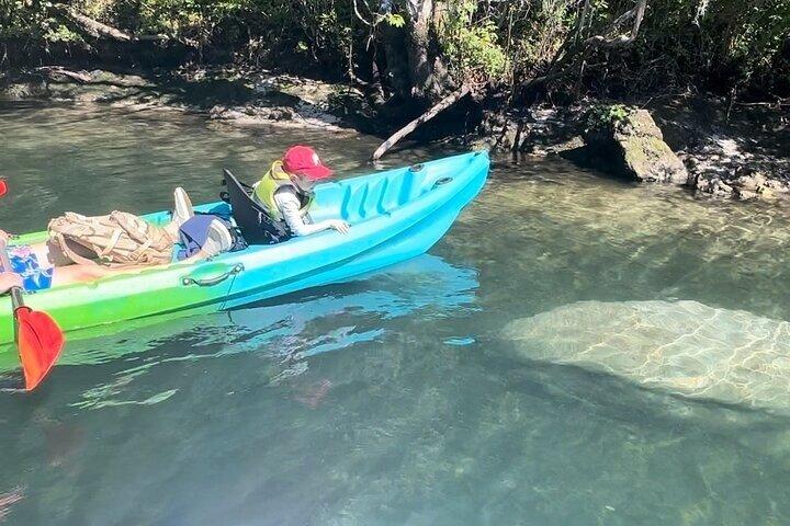 Crystal River: Sunset Kayak Rental Three Sisters Springs