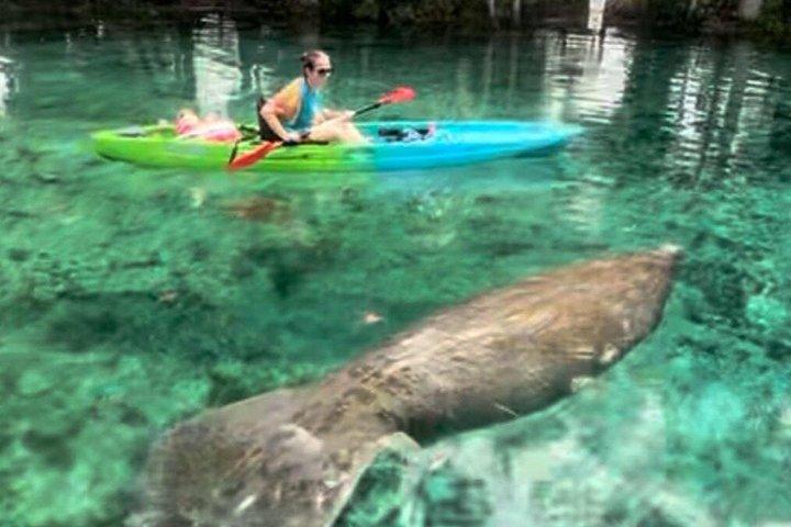Crystal River: Sunset Kayak Rental Three Sisters Springs