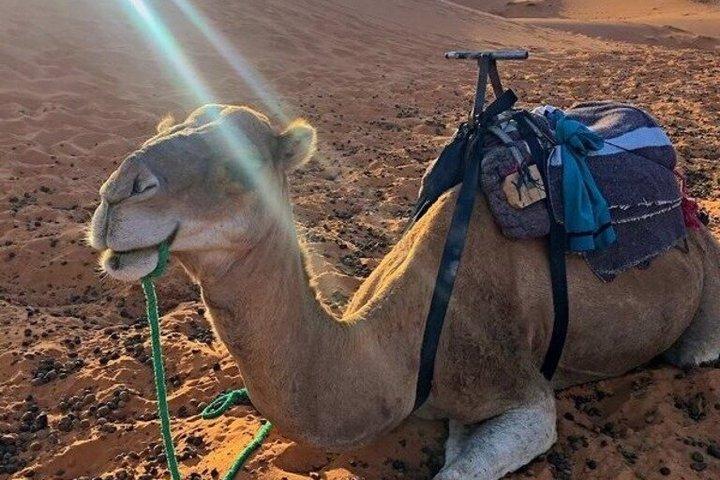 Group Desert Tour from Marrakech 2 Days