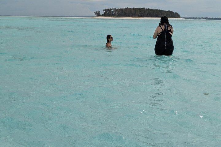 Half day Mnemba Dolphin Safari and Snorkeling Tour