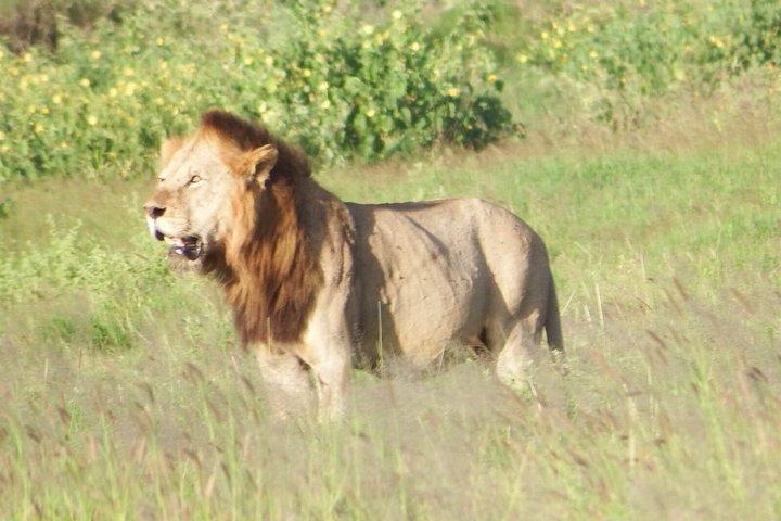 10 Day Kenya Safari Tour Adventure
