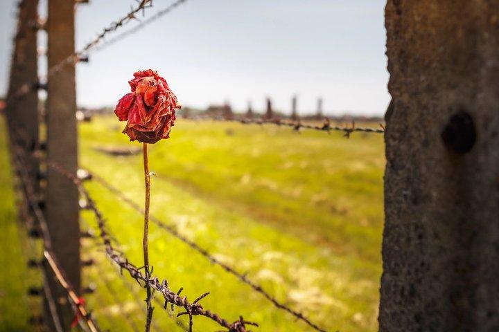 Auschwitz Birkenau Self Guided Tour from Krakow