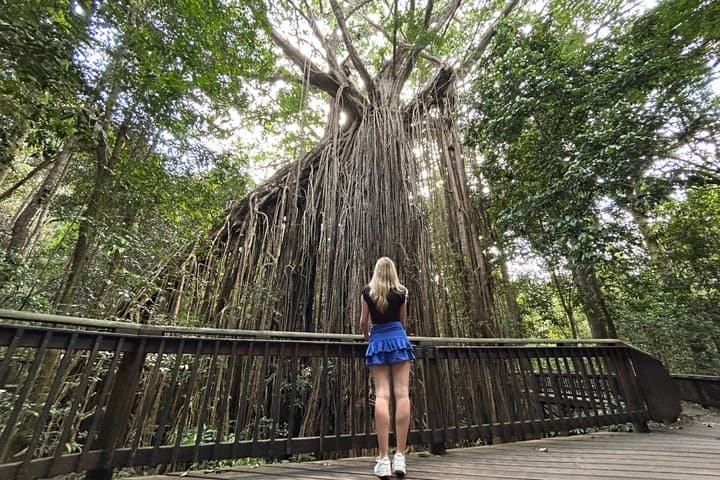Day Tour to Paronella Park, Lake Barrine and Millaa Millaa Falls