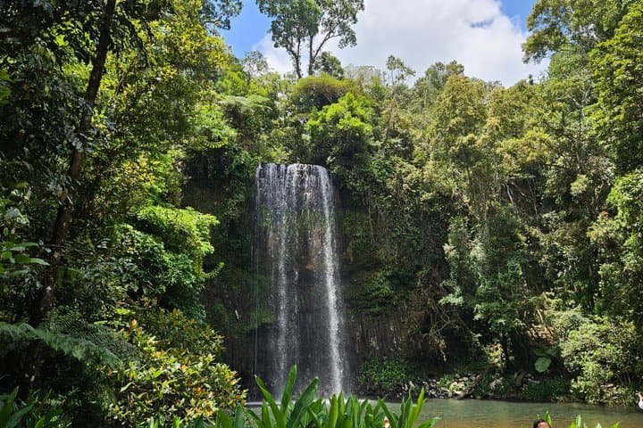 Day Tour to Paronella Park, Lake Barrine and Millaa Millaa Falls
