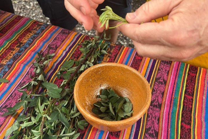 Make your own Mayan Pepian - Cooking class
