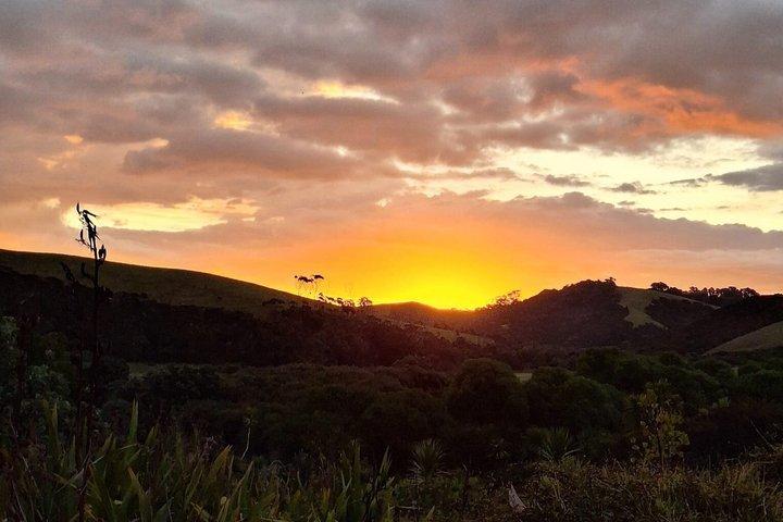 Dark Sky Stargazing Tours in Auckland