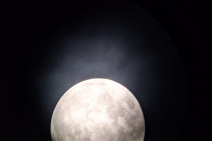 Dark Sky Stargazing Tours in Auckland