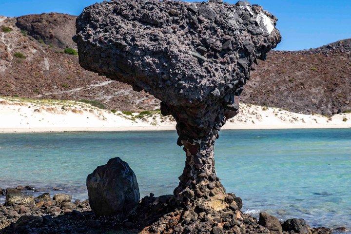 Day Trip to Balandra Beach & Todos Santos from Los Cabos