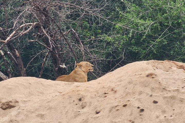 4-Days Tour to Tanzania National parks