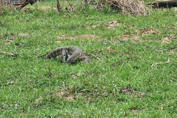 4-Days Tour to Tanzania National parks