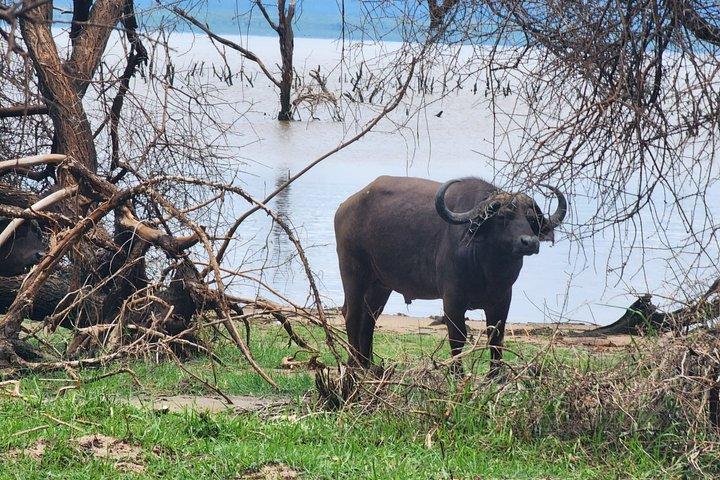 4-Days Tour to Tanzania National parks