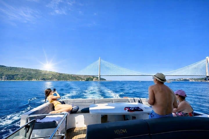 Bosphorus Luxury Lunch Cruise & Black Sea Swimming Experience