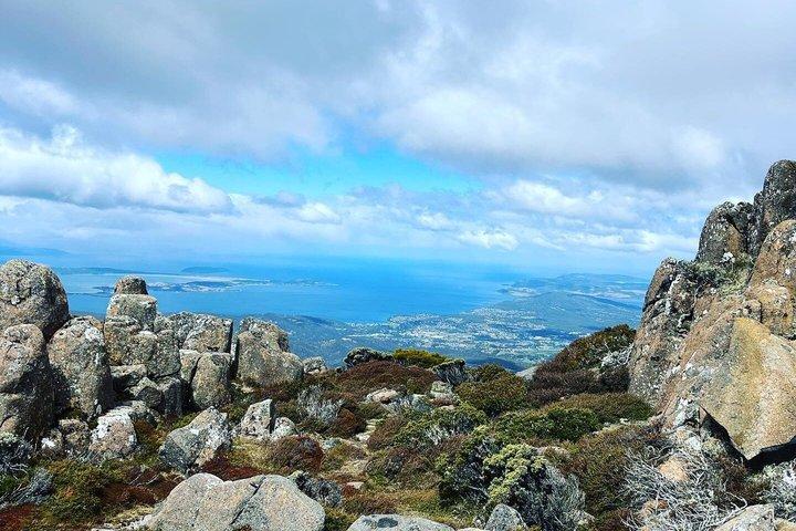 Mt Wellington Bonorong Wildlife Sanctuary and Wine Tasting Tour